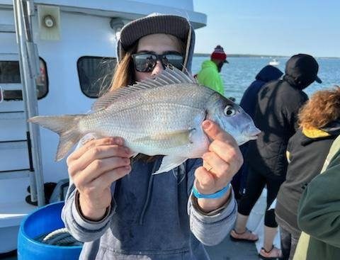 Long Island Porgy Fishing with Black Hawk Sport Fishing