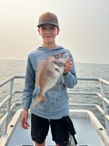 long island porgy fishing
