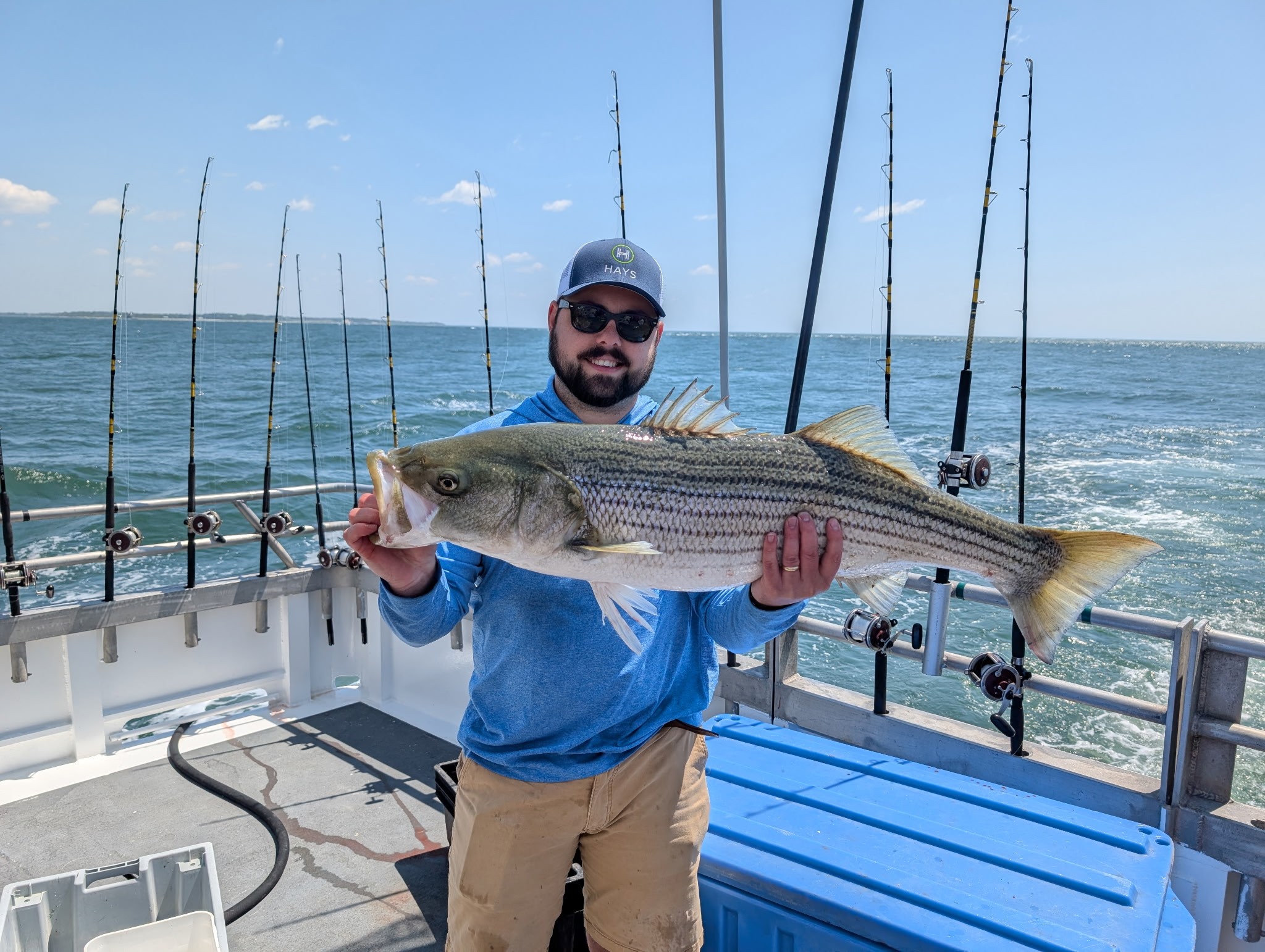 striped bass fishing long island
