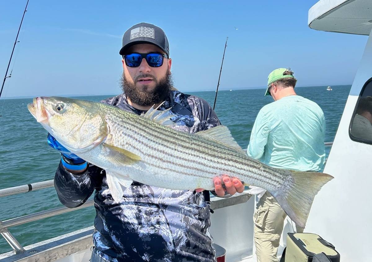 striped bass fishing long island