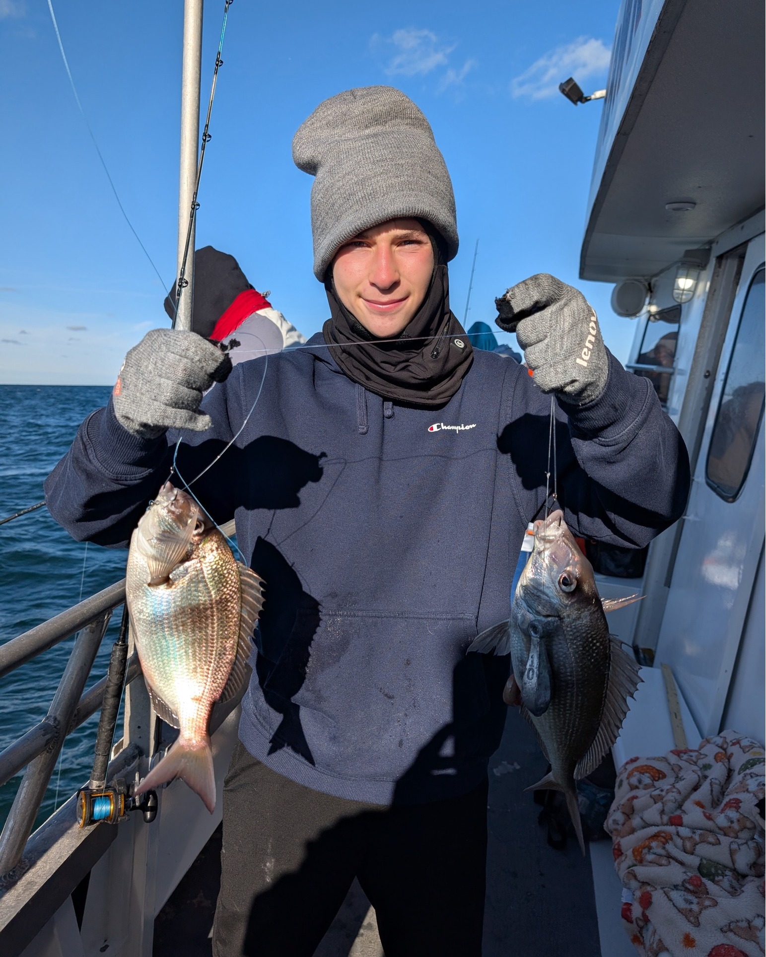 long island porgy fishing regulations