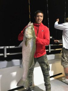 striped bass fishing techniques 