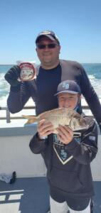 pool winner porgy